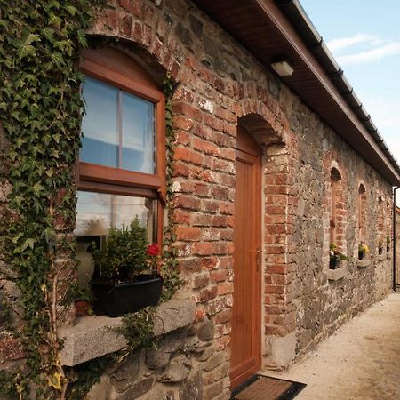 Drumnavaddy Cottage Dromore  Exteriör bild
