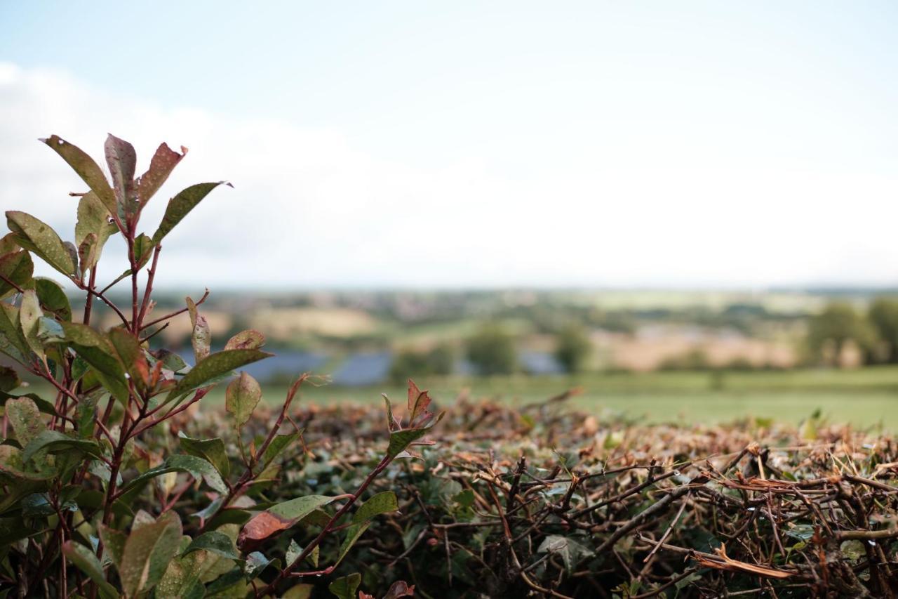 Drumnavaddy Cottage Dromore  Exteriör bild